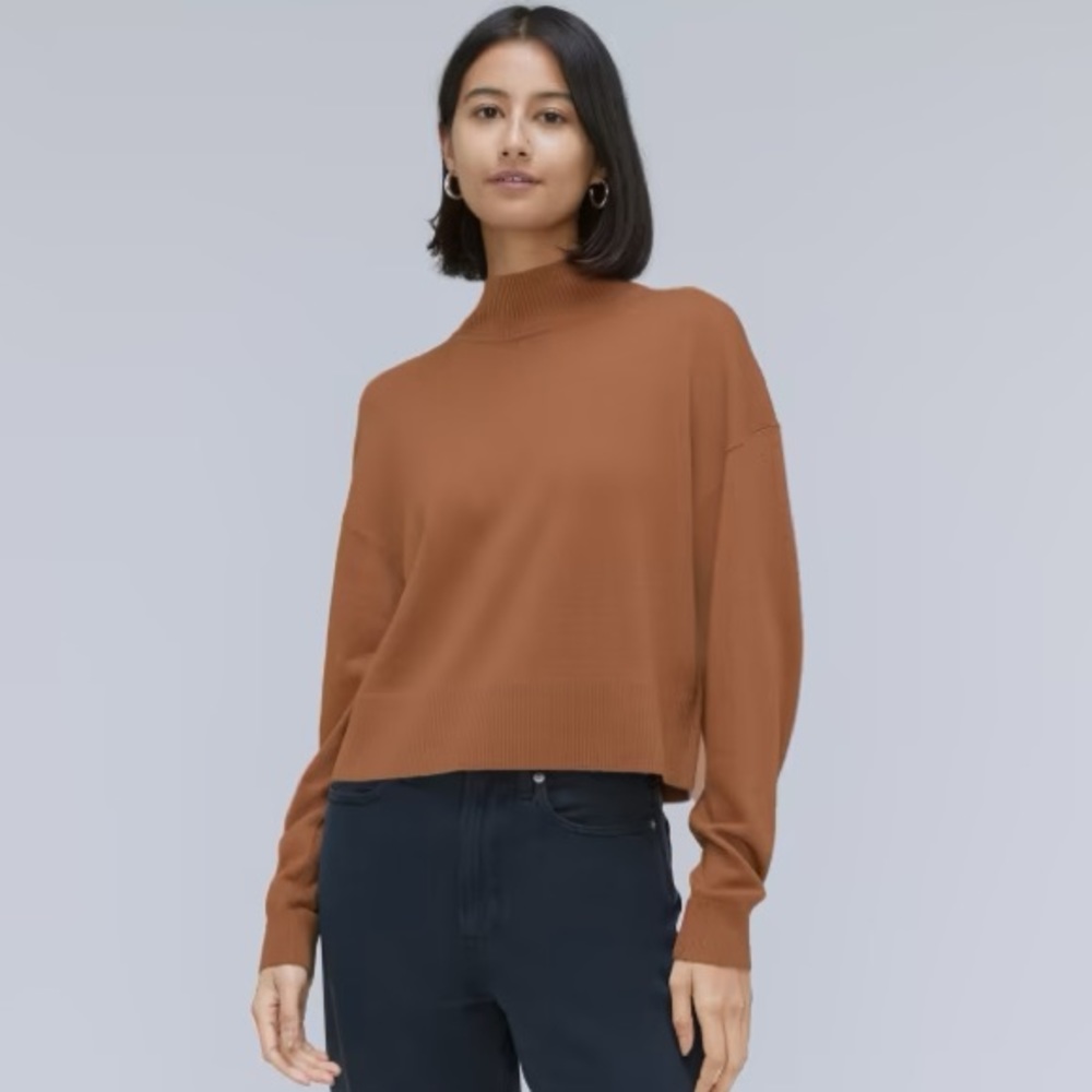 NWT | Everlane | The Luxe Marino Turtleneck
